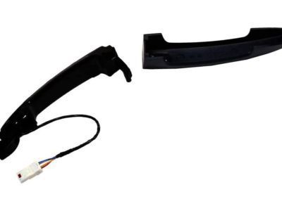 GM 13521820 Handle Kit, Front Side Door Outside