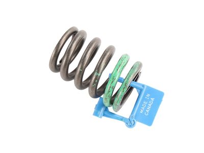 2000 Chevrolet K2500 Rocker Shaft Spring Kit - 10240898