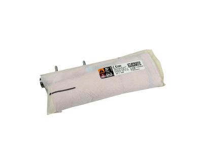 GM 23119182 Airbag Assembly, Rear Seat Bolster (Lh) 23119182 GM Airbag Assembly, Rear Seat Bolster (Lh) Product Photo 1 of 3
