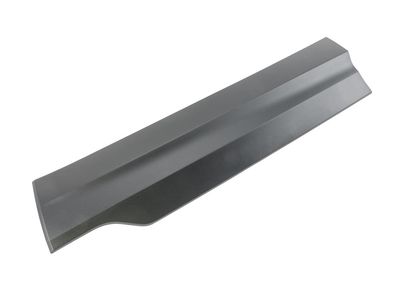 Chevrolet Trailblazer Door Moldings - 42810529