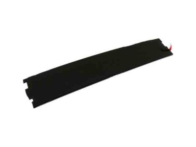 GM 23324488 Applique Assembly, Rear Side Door Window Frame Front