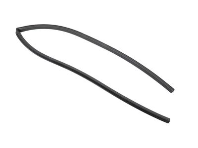 Buick Regal Weather Strip - 13486708