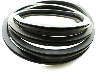 Chevrolet C2500 Door Seal - 15758703