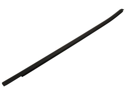 Chevrolet Bolt EV Door Moldings - 42469794