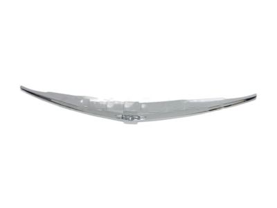 GM 15214405 Molding,Front Bumper Fascia