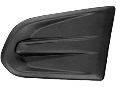GM 25980483 Cover, Front Fog Lamp Opening