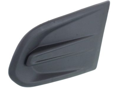 GM 25980483 Cover, Front Fog Lamp Opening