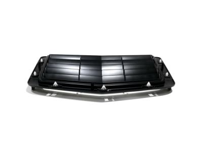 GM 23443956 Vent Assembly, Hood Ornamentation *Service Primer