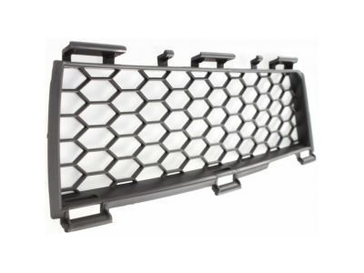 GM 88969808 Grille,Radiator Lower *Black