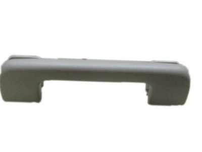 Buick Rainier Door Handle - 15269142