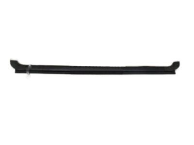 20875224 - Genuine GM Sealing Strip,Rear Side Door Window Outer