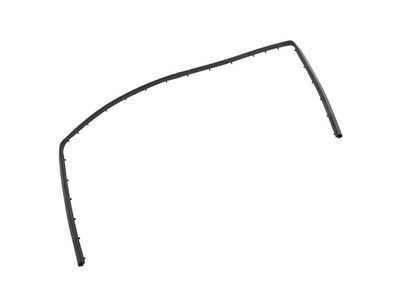 Buick Envista Weather Strip - 42731743