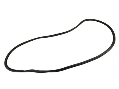 2021 Chevrolet Blazer Weather Strip - 84808216