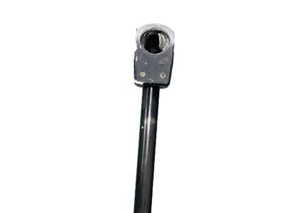 20865435 GM Hood Strut Assembly Product Photo 1 of 4