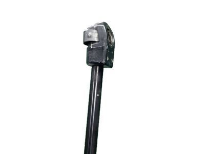 20865435 GM Hood Strut Assembly Product Photo 4 of 4