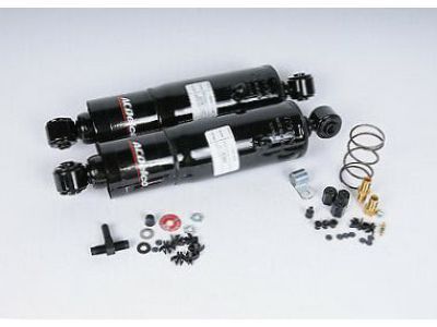 GM 19169325 Rear Leveling Shock Absorber Kit
