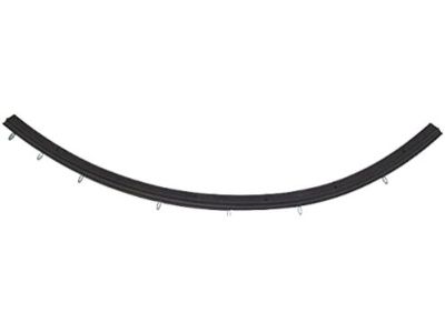 GM 10448624 Sealing Strip, Front Side Door Bottom Auxiliary