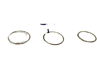 Buick Piston Ring - 55588455