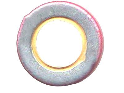 GM 10217886 Seal,Water Pump Bearing