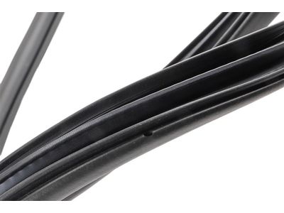 Cadillac CT5 Weather Strip - 84728021