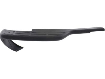 GM 15738019 Pad,Rear Bumper Step