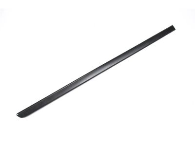 Chevrolet Impala Door Moldings - 19257891