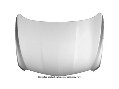 GM 84931158 Hood Assembly 84931158 GM Hood Assembly Product Photo 1 of 1