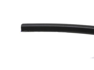 GM 25911905 Weatherstrip Assembly, Front Side Door Front Lower