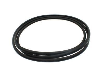 Hummer H3 Weather Strip - 15242781