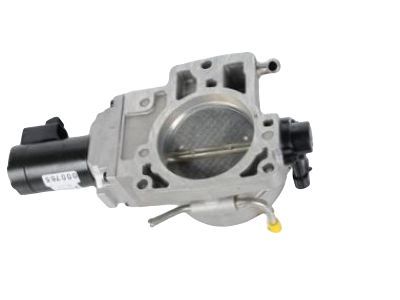 GM 17113669 Throttle Body Assembly (W/ Throttle Actuator)