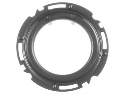 Chevrolet S10 Fuel Tank Lock Ring - 15734494