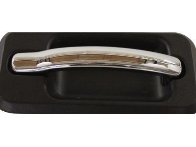 Hummer Door Handle - 25845865