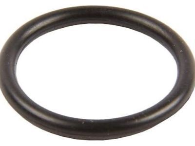 GM 19132944 Transfer Case Intermediate Drive Shaft Seal (O, Ring)