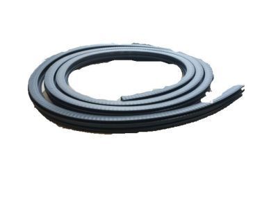 GM 15244247 Weatherstrip,Rear Side Door