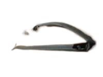 2010 GMC Canyon Door Seal - 25956729