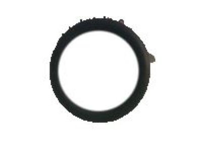 GM 55558112 Seal, Turbo Oil Feed Pipe (O Ring)