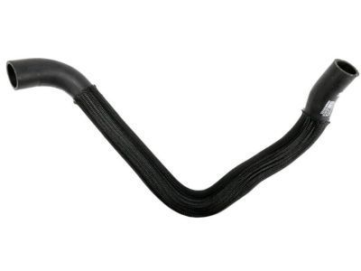 2004 Buick Rainier Radiator Hose - 19258420