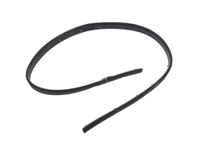 2024 Cadillac XT5 Door Seal - 84184297