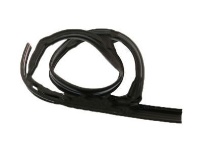 2002 GMC Sierra Weather Strip - 21993937