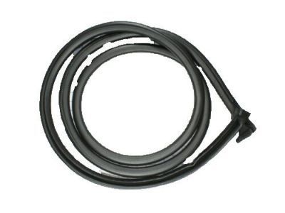 GMC Savana Weather Strip - 19259359