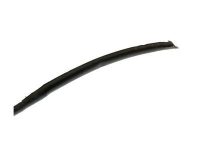 GM 23345375 Weatherstrip Assembly, Rear Side Door Lower Auxiliary
