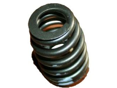 GM 10166343 Spring, Valve *Green Inside Diameter