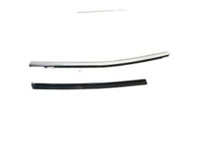 GM 84325911 Molding Assembly, Rear Side Door Window Belt Reveal