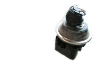 Chevrolet Cruise Control Servo - 25074626