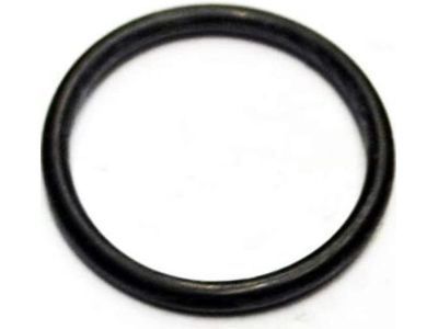 2001 GMC Yukon Fuel Injector O-Ring - 94173412