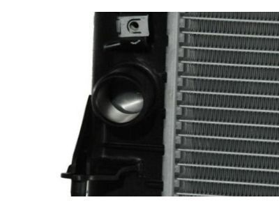 GM 89018528 Radiator Assembly