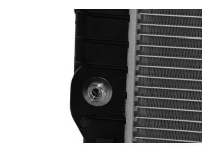 GM 89018528 Radiator Assembly