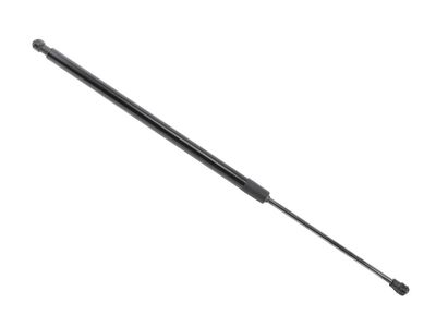 Chevrolet Trax Lift Support - 42756030
