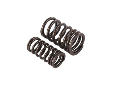 12668540 GM SPRING ASM-VLV Product Photo 2 of 2