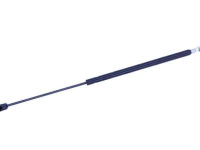 GM Lift Support - 15030549